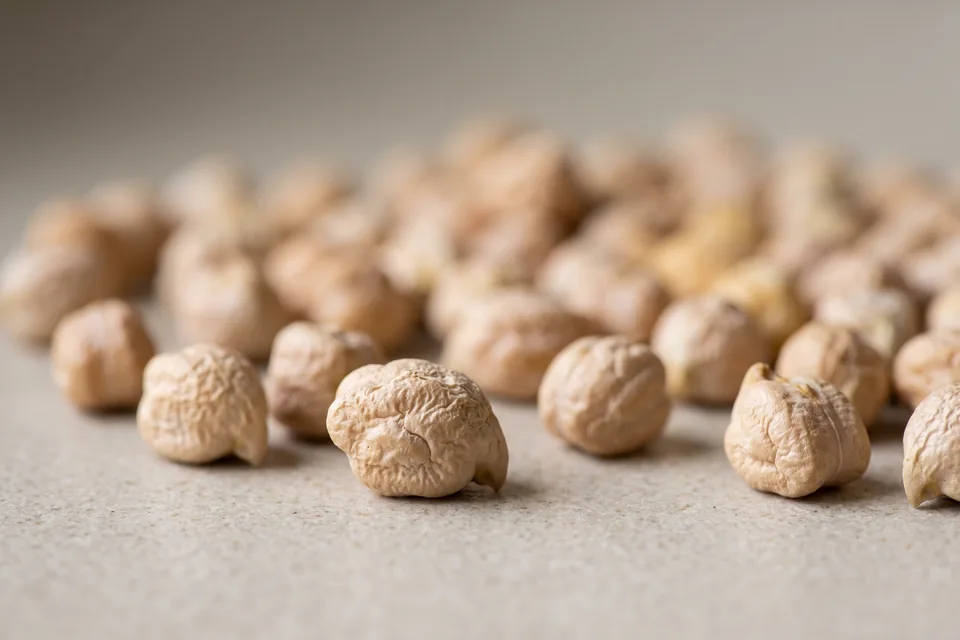 Seeds of the white-flowered Musei chickpea, pale and with their characteristic beak