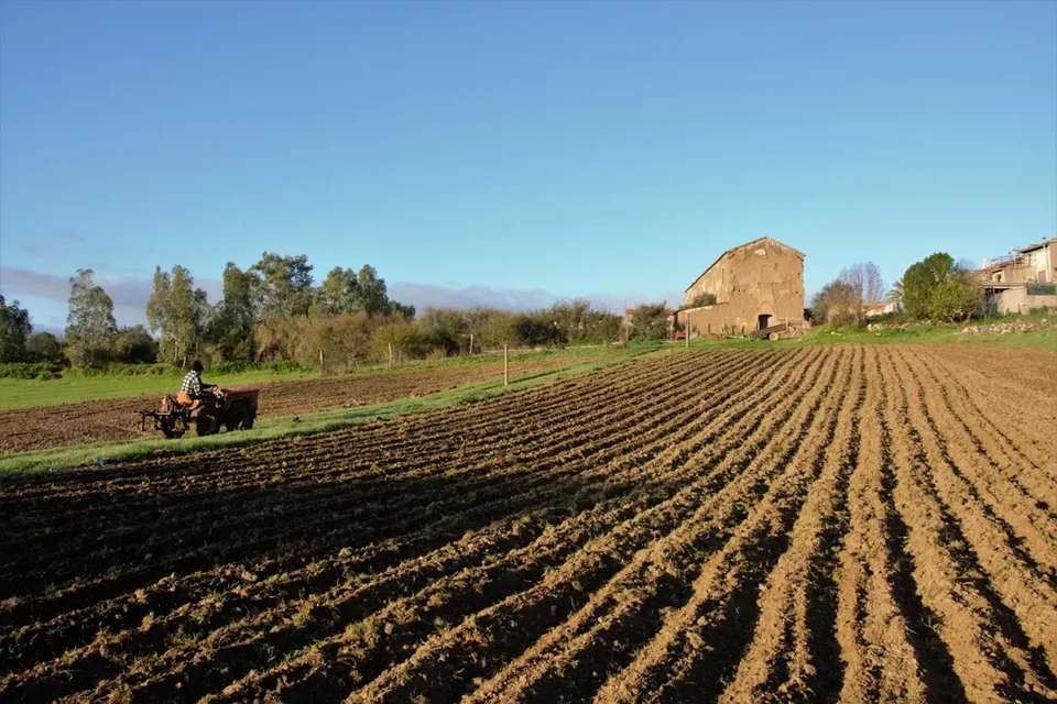Ploughed field with parallel furrows in the Cixerri valley, a stone farmhouse in the background